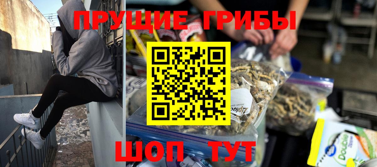 продажа наркотиков  Вход с VPN  Бугуруслан  Галлюциногенные грибы Magic Shrooms 